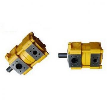 Sumitomo QT4223-25-4F Double Gear Pump