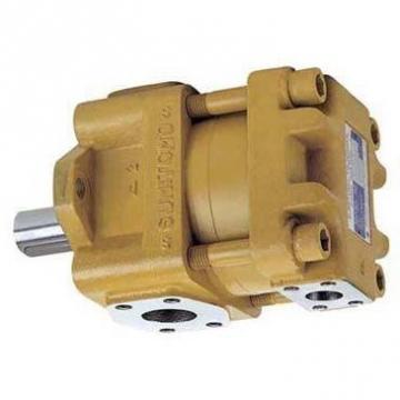Sumitomo QT6253-125-63F Double Gear Pump