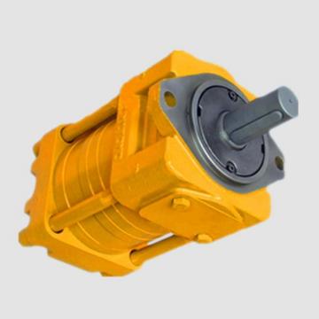Sumitomo QT6143-160-20F Double Gear Pump