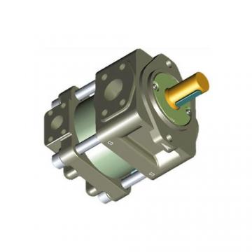 Sumitomo QT5242-40-25F Double Gear Pump