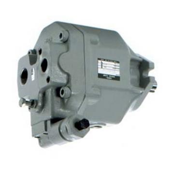 Yuken PV2R12-12-65-L-RAA-40 Double Vane Pumps