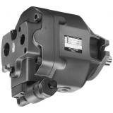 Yuken AR16-FR01B-20 Variable Displacement Piston Pumps